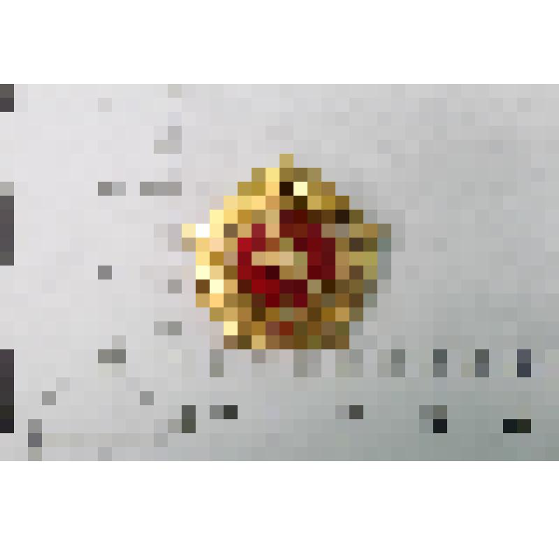 Значок  "ГТО 5 разряд"