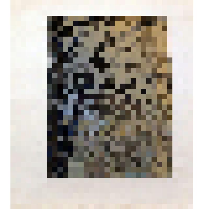 Дуб