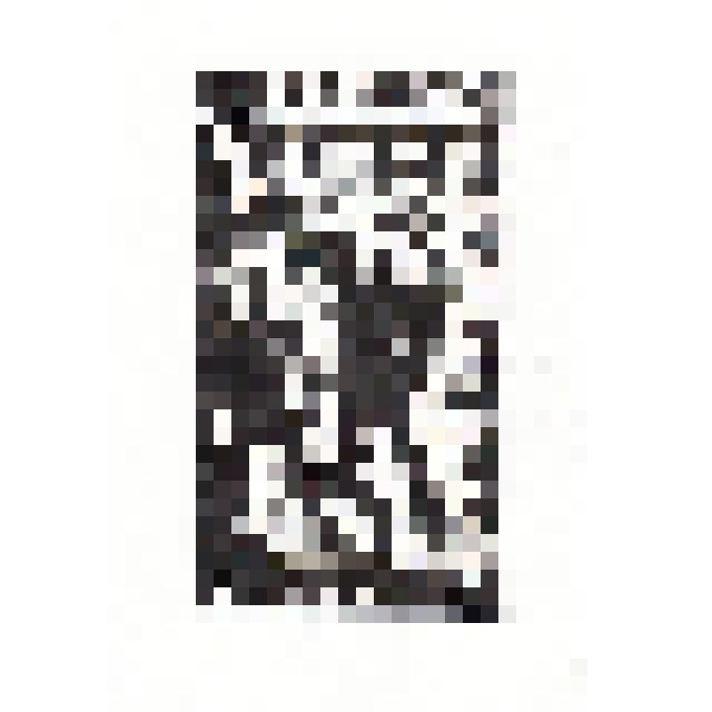 Экслибрис "Ex Libris А. Быкова"