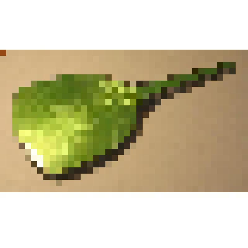 Зеркало ручное