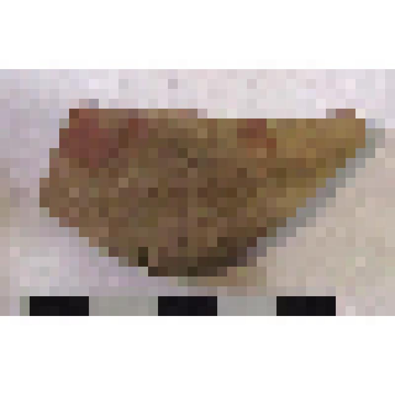 Фрагмент плеча амфоры типа D с дипинто