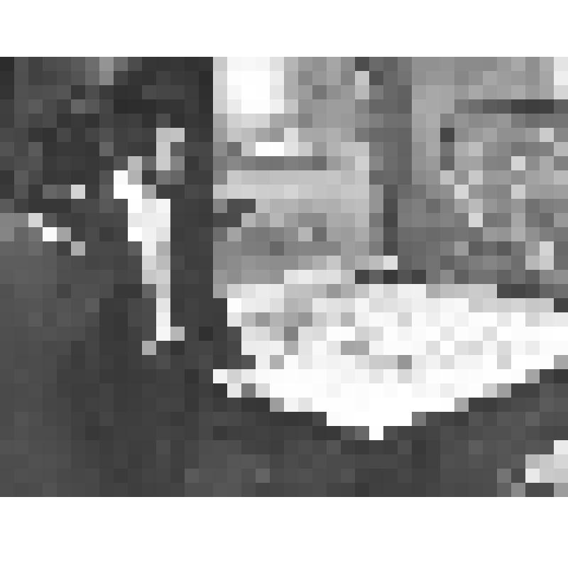 Фотография. Резник А. Ш. у макета станции