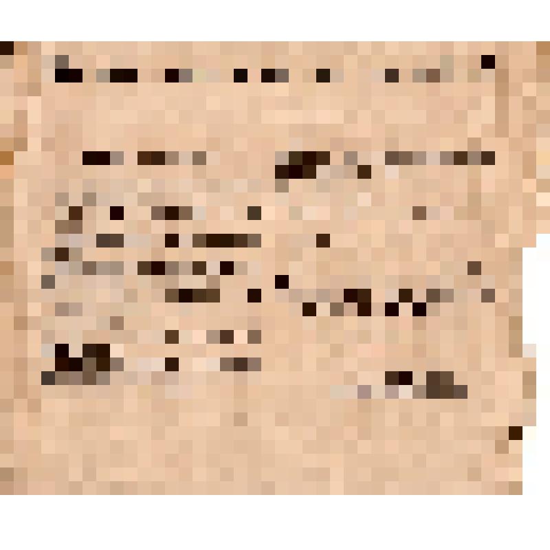 Lenin, Tchitcherine/ Do you realise what you are doing? (на англ. яз.)