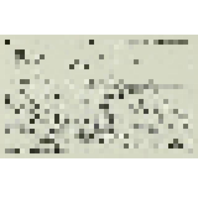 Лист № 73 из альбома "Доктор Фест", гравюра