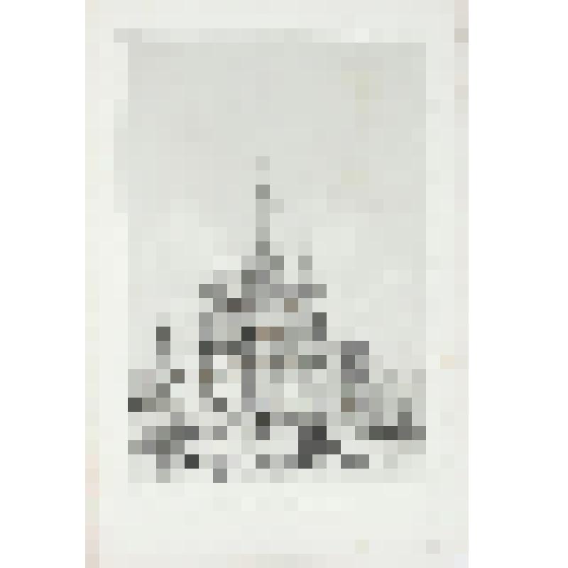 Литография. "Москва. Собор Василия Блаженного. Центральный фасад. Со стороны Кремля."