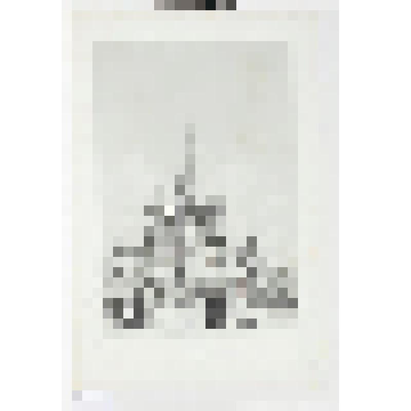 Литография. "Москва. Собор Василия Блаженного. Центральный фасад. Со стороны Кремля."