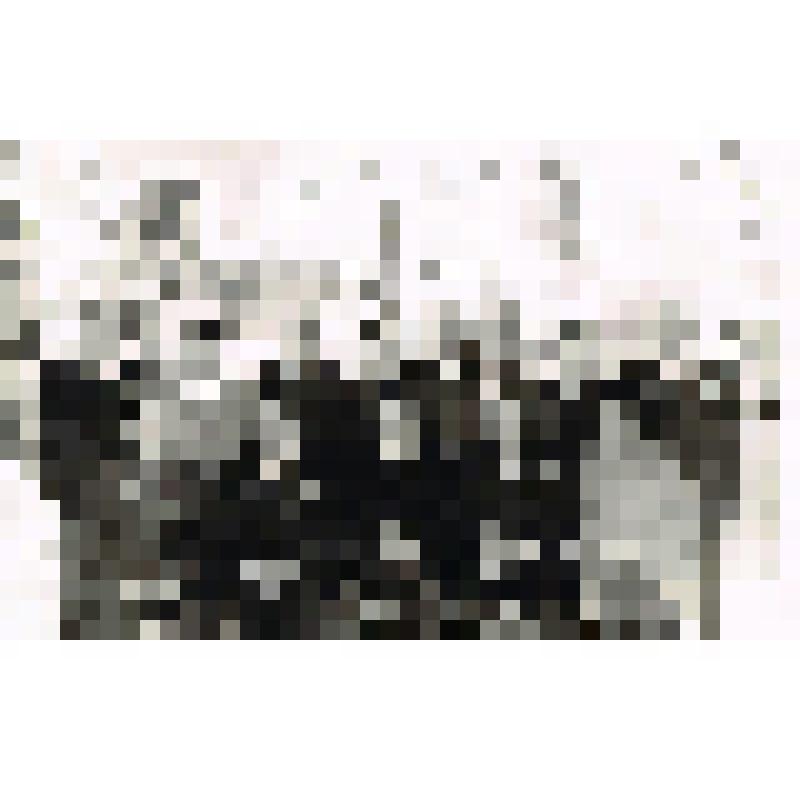 Фотография. Участники ВОВ