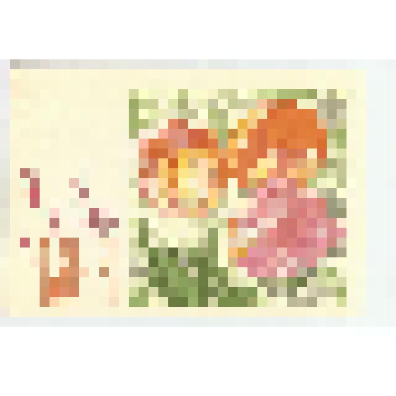 Почтовая карточка. "С праздником 1 Мая !"