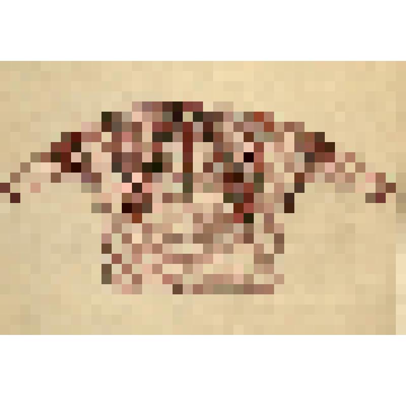 Зарисовка рубахи. Из альбома "Орнамент русской народной женской одежды. Женская одежда средне-русской полосы. Отдельные предметы одежды и детали орнамента. Часть III."