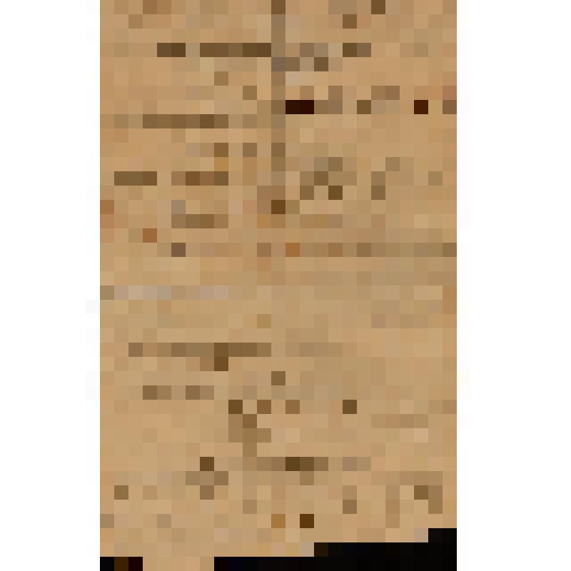 Документ. Школьный листок начальной церковной школы с отчетными сведениями за 1906 гражданский год Благовещенской епархии