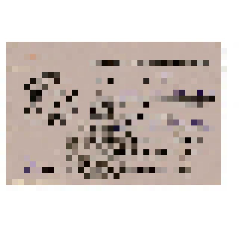 Мандат №126 от 23. 08.1952 г.  делегата ХХ Паст-Даргомской районной конференции КП(б) Узбекистана