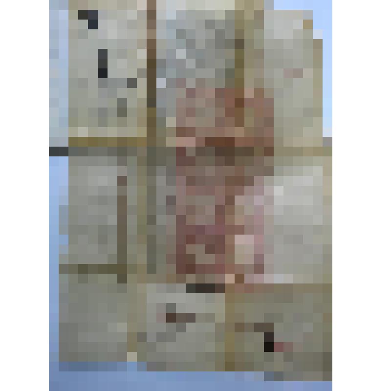 Альбом с проектными чертежами, с эскизами, зарисовками архитектурных памятников и деталей, произведений скульптуры и декоративно-прикладного искусства, пейзажными зарисовками, тематическими рисунками исторического жанра и по мотивам воспоминаний детства и