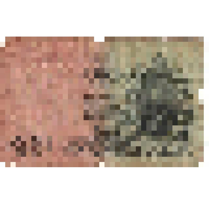 Знак денежный Государственный кредитный билет 25 рублей 1909 года