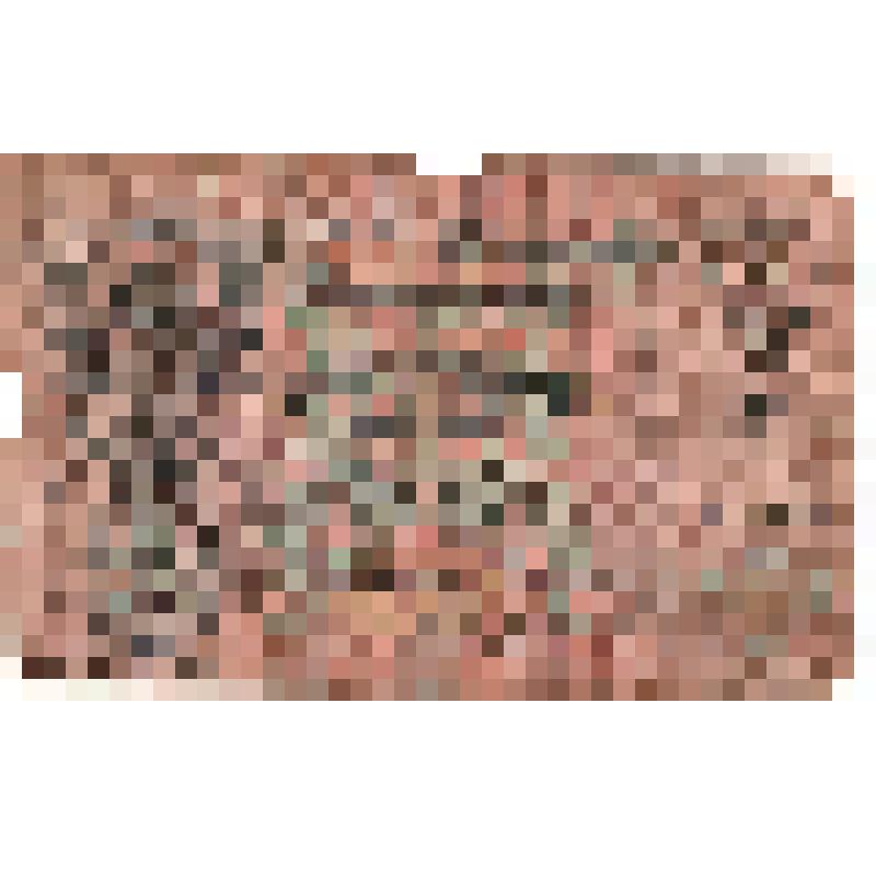 Знак денежный Государственный кредитный билет 25 рублей 1909 года