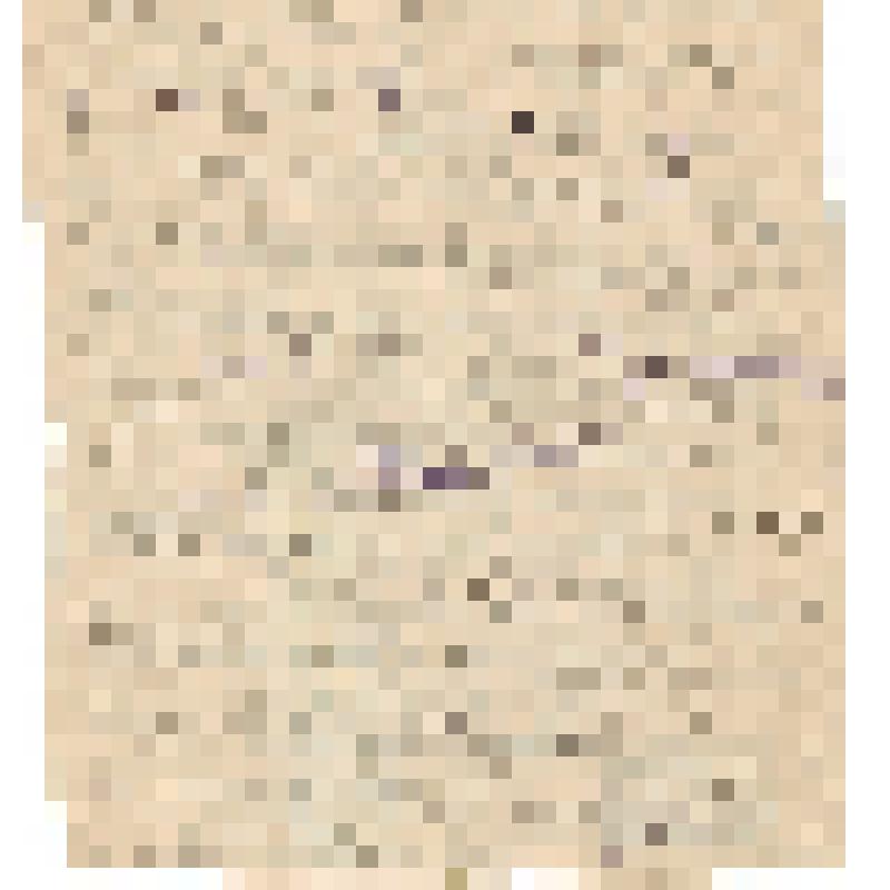 Письмо с фронта Соболевой Т.П. в трудовой коллектив московского завода "Серп и молот"