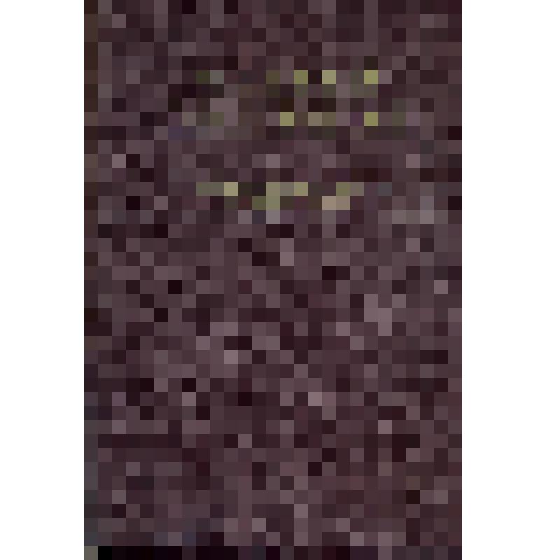 Книга. Откровенный разговор. - Москва: Государственное изд-во художественной литературы, 1951