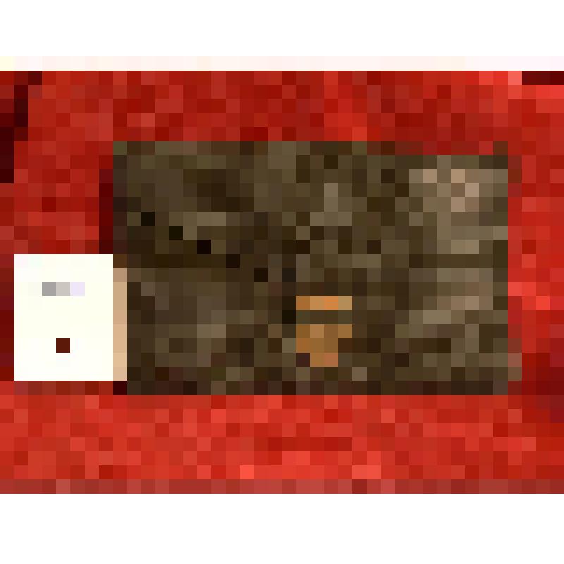 Кошелёк Анны Павловой