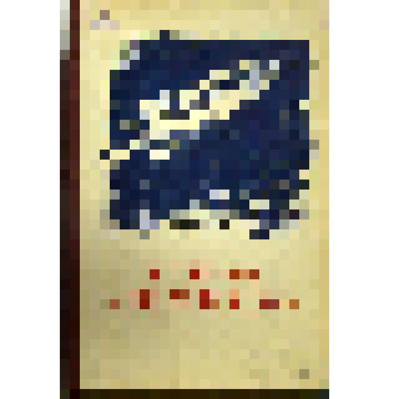 Книга. Тайна астероида 117-03