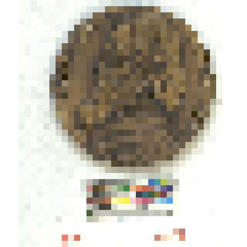 СССР. Медаль. 100 лет со дня рождения Р. Тагора. 1961 г