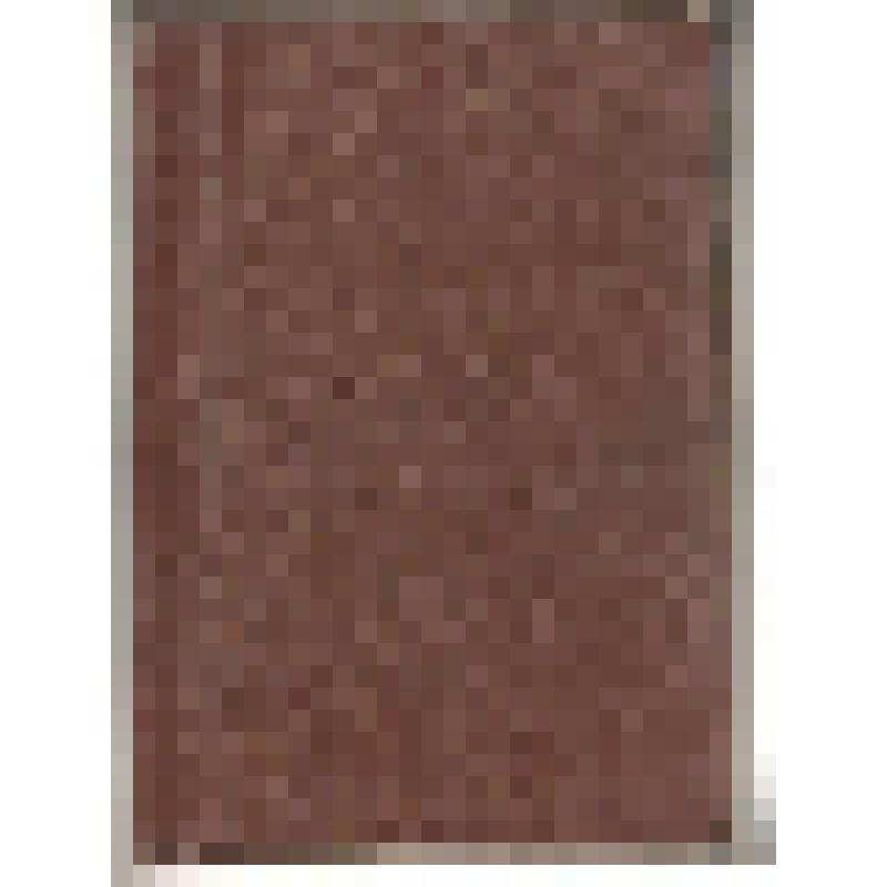 Книга отзывов. Книга отзывов о творчестве хакасского художника, члена Союза художников РФ - Доможакова Александра Викторовича