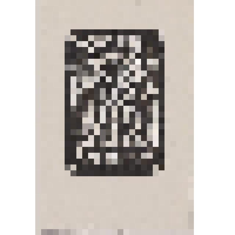 Книжный знак B. Knizikevicienes. Экслибрис