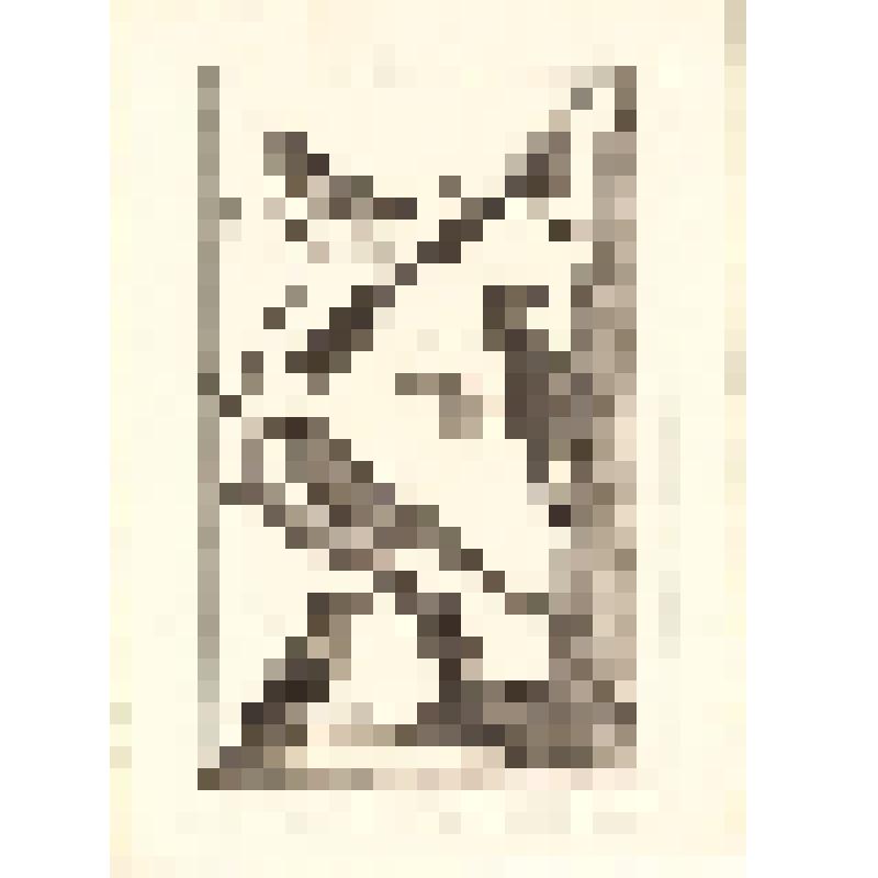 "Histoire Naturelle. Pl. XXXVI. Fig. 1. Le Promerops du Cap de Bonne Esperance. Fig. 2. Le Guepier de Madagascar. Fig.3. Martin-Pecheur  des Philippines. Fig.4. Todier de St. Domingue. Fig.5. Pic de Cayenne. " AB sc. Гравюра