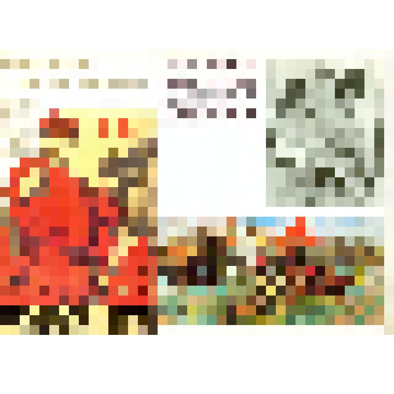 Комплект открыток «1918-1988 Армия, рождённая Октябрём»