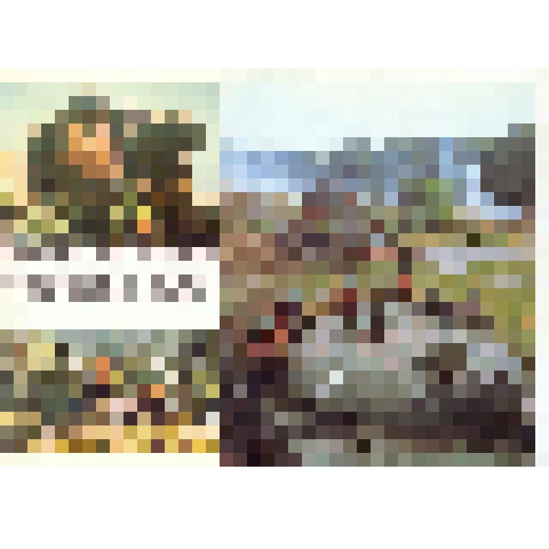 Комплект открыток «1918-1988 Армия, рождённая Октябрём»