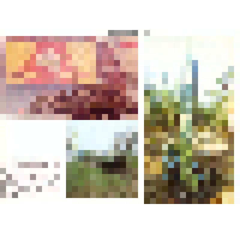 Комплект открыток «1918-1988 Армия, рождённая Октябрём»