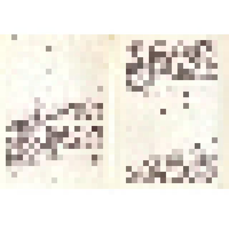 Комплект открыток «1918-1988 Армия, рождённая Октябрём»