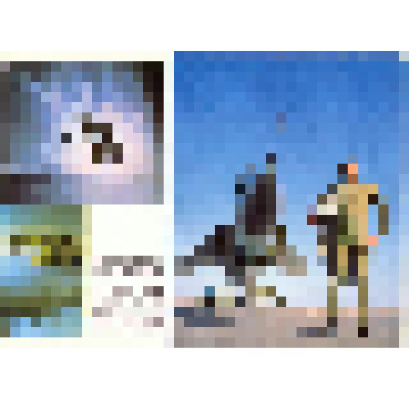 Комплект открыток «1918-1988 Армия, рождённая Октябрём»