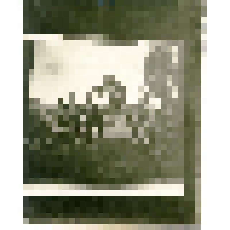 Фотооткрытка. «Проминка»