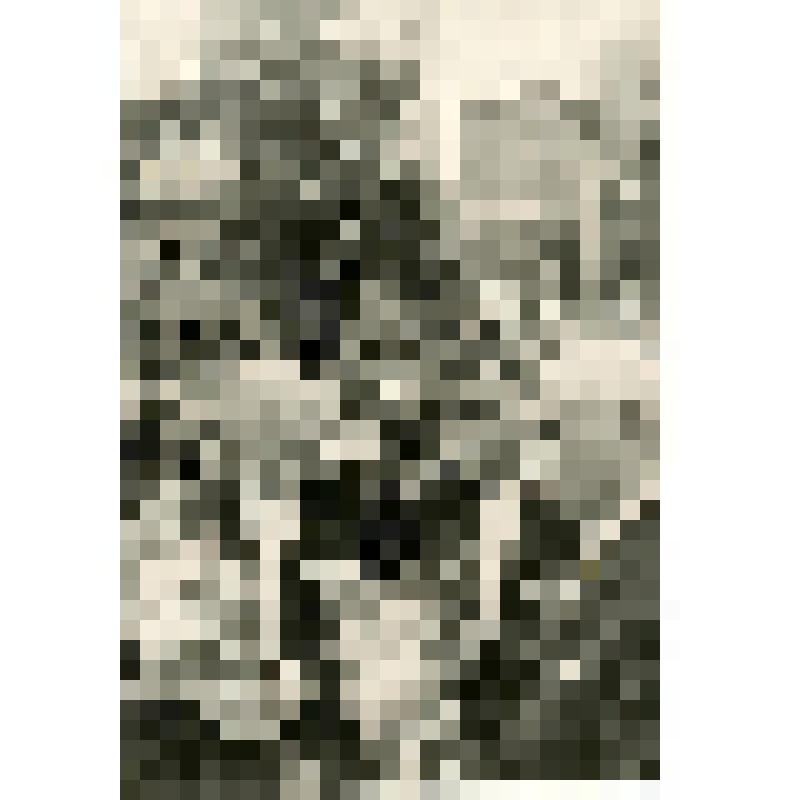 Клавдий Борисович Птица (крайний слева), Иван Семенович Козловский (крайний справа) и др. Фотография