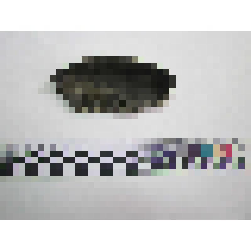 Лепной светильник