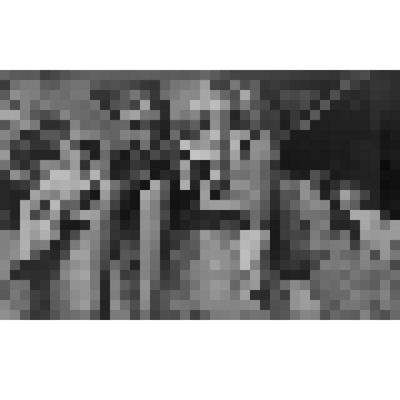 Серия фотографий с авторской фотовыставки "Мой взгляд". Фото ч/б. В выходной день у ДК. 1986 г