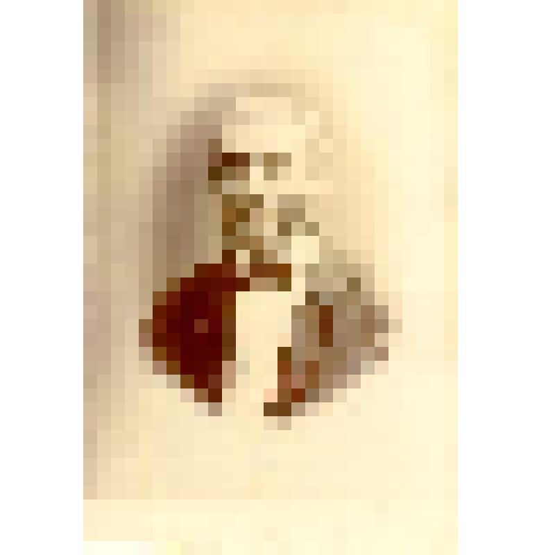 Фотография. Виллуан Александр Иванович