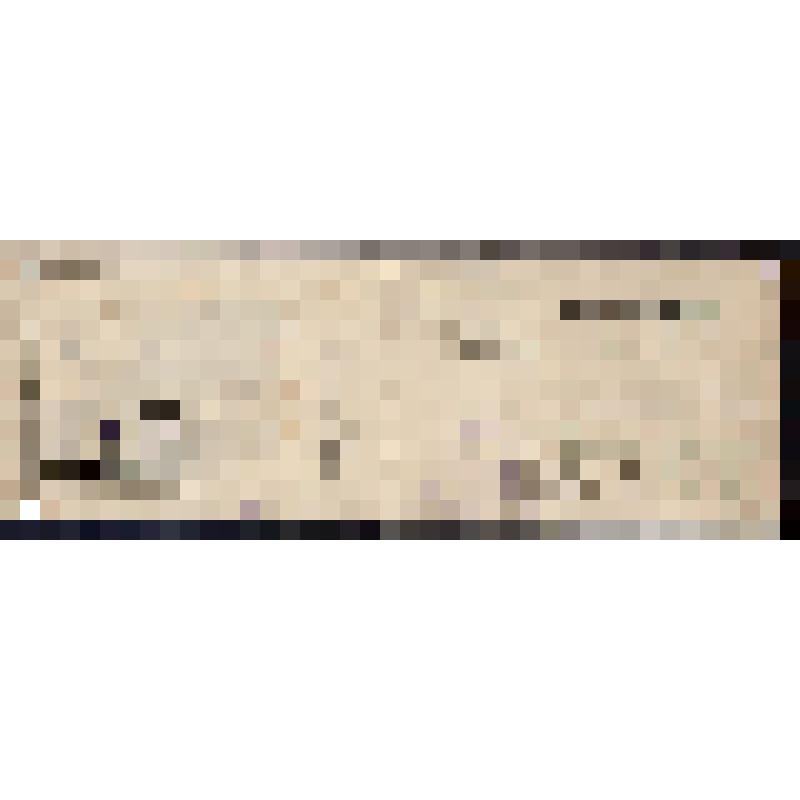 Членский билет N 10 Прыткова И.Д., члена Симбирского Губернского комитета РКП