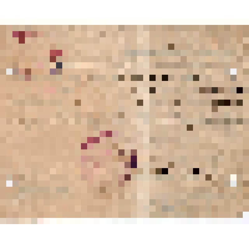 Удостоверение председателя губбюро колхозов Дорошенко Т.М., командированного на организацию и проведение съезда сельскохозяйственных объединений