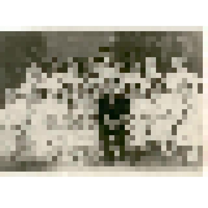 Фотография. Филиппова Евгения Ивановна c труппой и представителем Венгерского посольства после балета «Платочек»