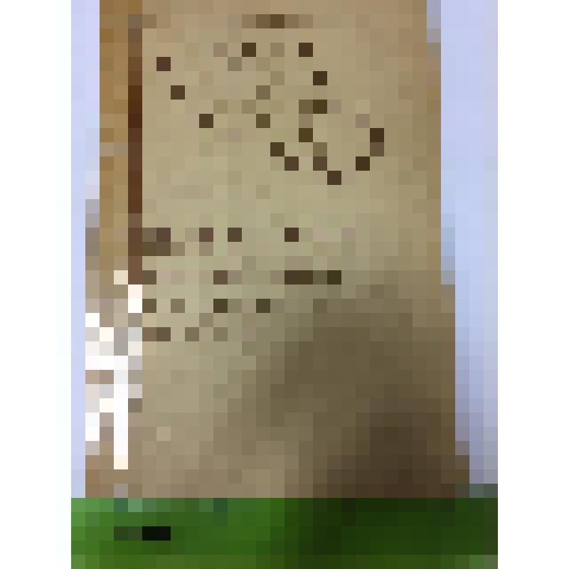 Известия Алтайского отдела географического общества Союза ССР. Выпуск 9.(Алтайский отдел географического общества Союза СССР),  редакционная коллегия: Э.А. Ирисов,  А.Ф.Куракин,
 А.М. Малолетко.-Барнаул:Алтайское книжное издательство,1969.-140 с