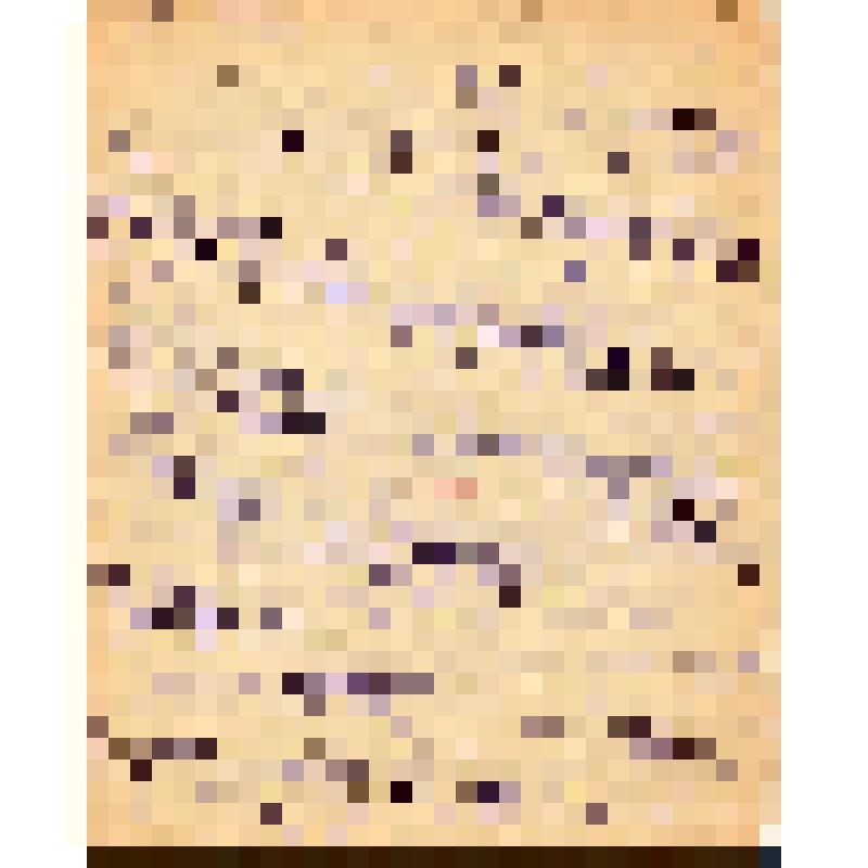 Вариант статьи "Советская кинематография в 1919 году"