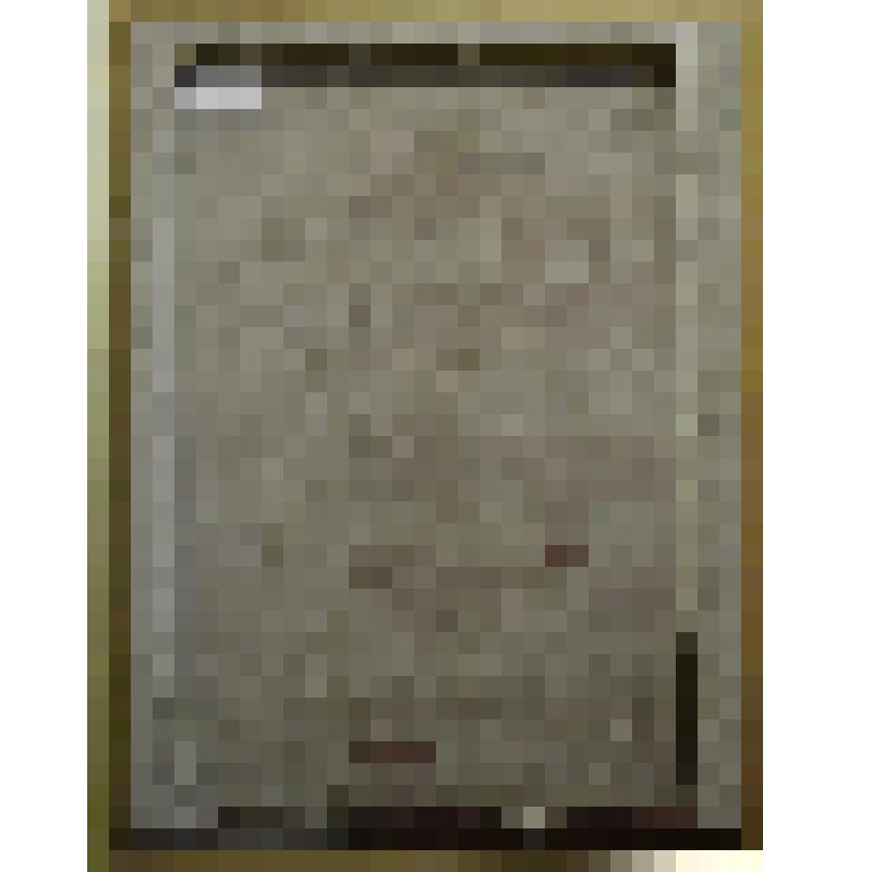 «Ду эндо». Картина