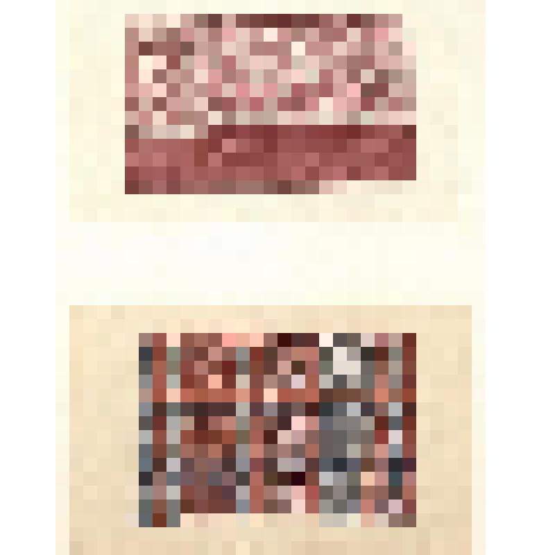 Зарисовки образцов ткачества. Из альбома "Русское народное ткачество Новгородской и Псковской области"