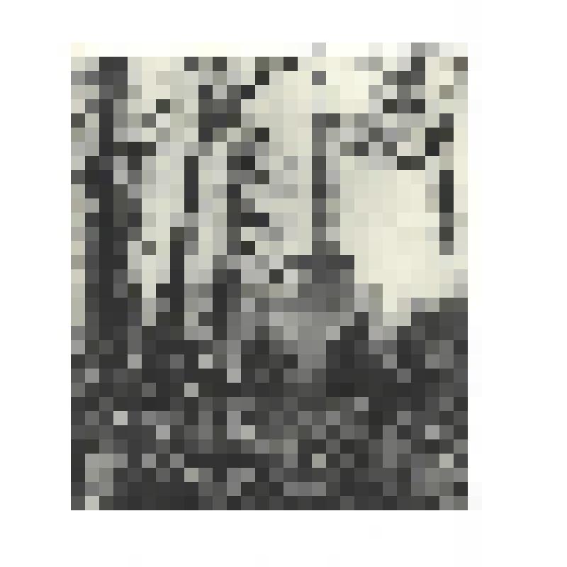 Фотографии. Фото ч/б. Митинг танкистов генерала Кривошеина у колонны победы в Берлине, 2 мая 1945 г