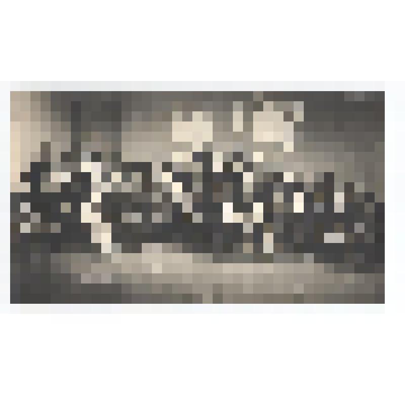 Фотография групповая. Коллектив телерадиокомитета Сахалинской области