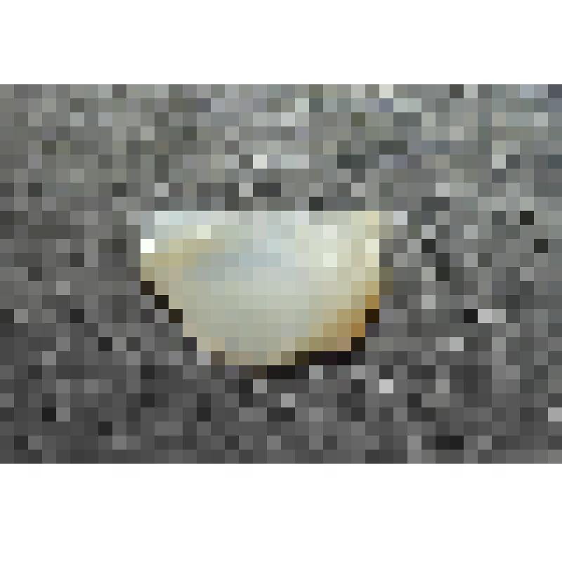 Микроотщеп