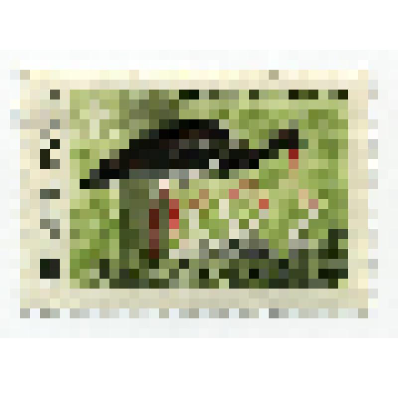 Марка почтовая. "Беловежская пуща. Черный аист". 4 копейки