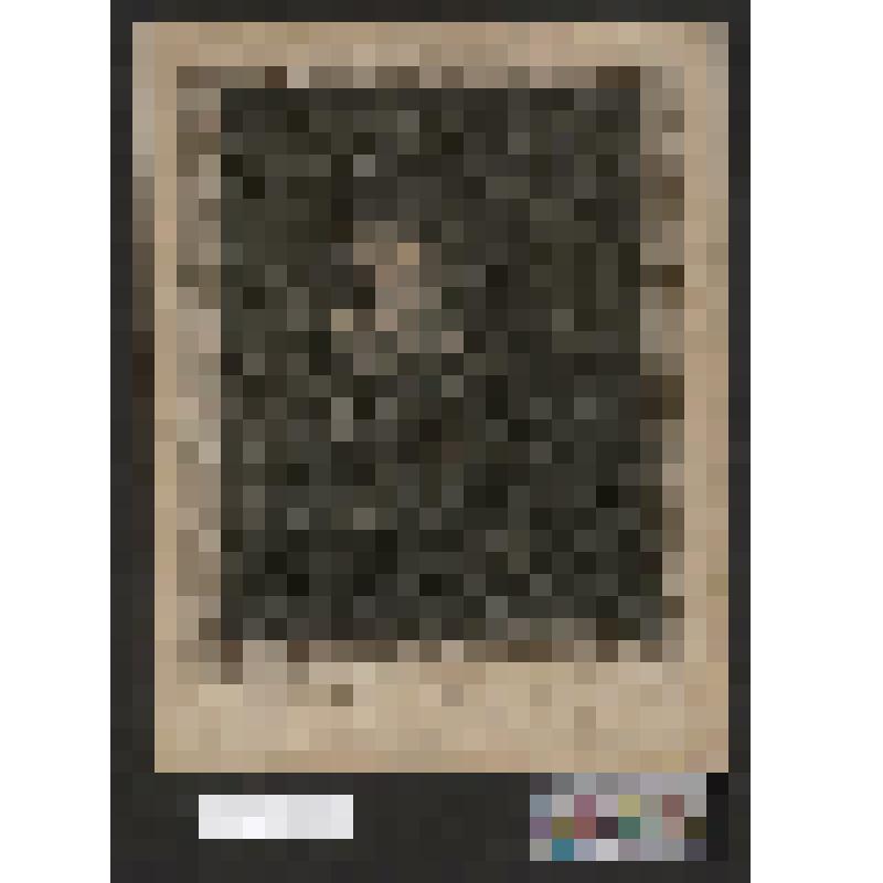 Голова старика с волнистой бородой, погрудный, 3/4 влево