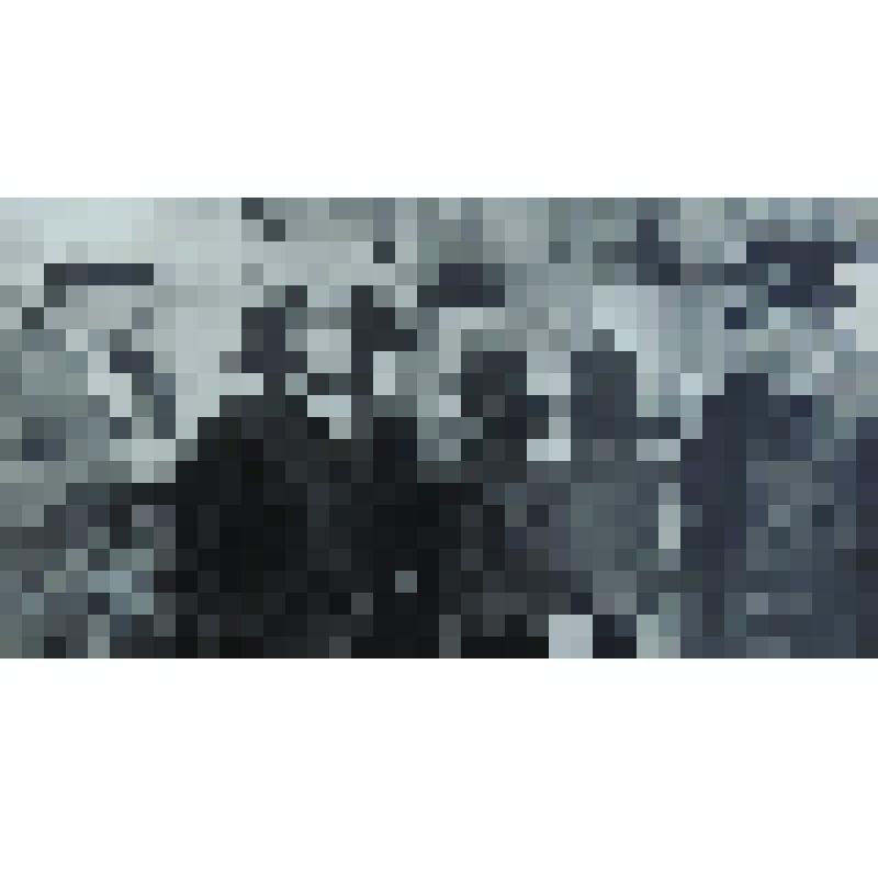 Фотография групповая. Участники Всесоюзного совещания