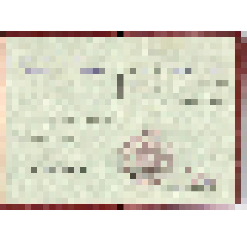 Документ. Орденская книжка Г №293400, 25.08.1951 г., Горского Андрея Николаевича